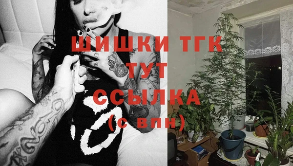гашик Богородск