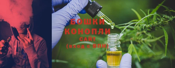гашик Богородск