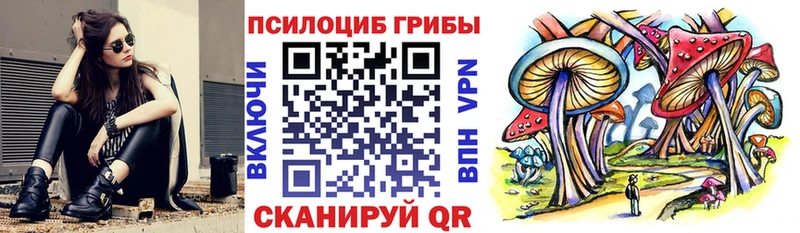 Псилоцибиновые грибы Psilocybe Сураж